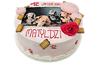 Tort jamniki